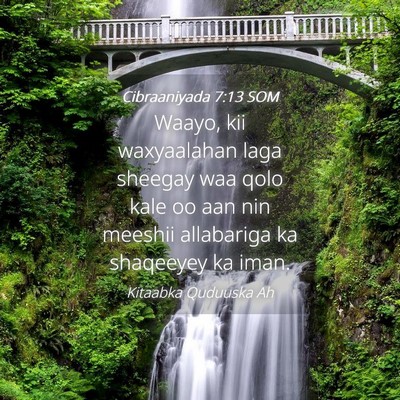 Picture 04 - Cibraaniyada 7:13 SOM - Waayo, kii waxyaalahan laga sheegay waa qolo kale - Bible Verse Picture