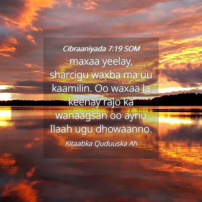 Picture 04 - Cibraaniyada 7:19 SOM - maxaa yeelay, sharcigu waxba ma uu kaamilin. Oo - Bible Verse Picture