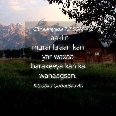 Picture 04 - Cibraaniyada 7:7 SOM - Laakiin muranla'aan kan yar waxaa barakeeya kan - Bible Verse Picture