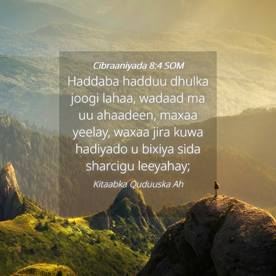 Picture 04 - Cibraaniyada 8:4 SOM - Haddaba hadduu dhulka joogi lahaa, wadaad ma uu - Bible Verse Picture