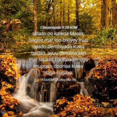 Picture 04 - Cibraaniyada 9:28 SOM - sidaas oo kalena Masiix, isagoo mar loo bixiyey - Bible Verse Picture