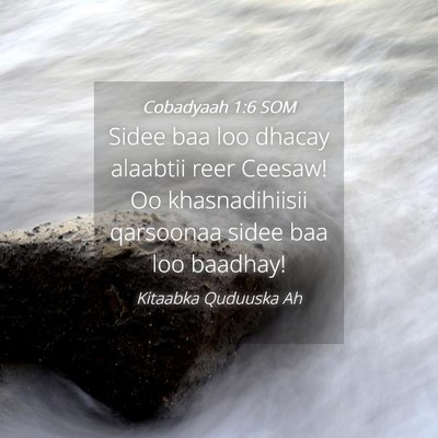 Picture 04 - Cobadyaah 1:6 SOM - Sidee baa loo dhacay alaabtii reer Ceesaw! Oo - Bible Verse Picture