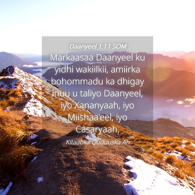 Picture 04 - Daanyeel 1:11 SOM - Markaasaa Daanyeel ku yidhi wakiilkii, amiirka - Bible Verse Picture