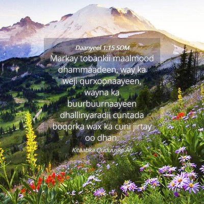 Picture 04 - Daanyeel 1:15 SOM - Markay tobankii maalmood dhammaadeen, way ka weji - Bible Verse Picture