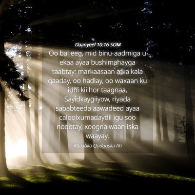 Picture 04 - Daanyeel 10:16 SOM - Oo bal eeg, mid binu-aadmiga u ekaa ayaa - Bible Verse Picture