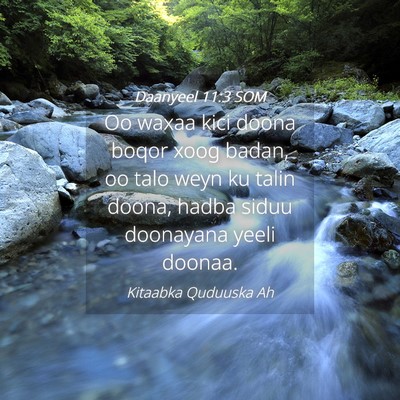 Picture 04 - Daanyeel 11:3 SOM - Oo waxaa kici doona boqor xoog badan, oo talo - Bible Verse Picture