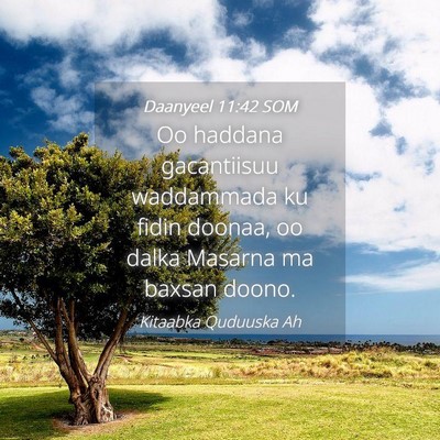 Picture 04 - Daanyeel 11:42 SOM - Oo haddana gacantiisuu waddammada ku fidin - Bible Verse Picture
