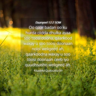 Picture 04 - Daanyeel 12:2 SOM - Oo qaar badan oo ku hurda ciidda dhulka ayaa soo - Bible Verse Picture