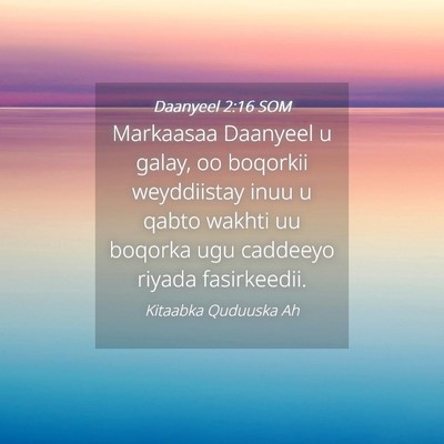 Picture 04 - Daanyeel 2:16 SOM - Markaasaa Daanyeel u galay, oo boqorkii - Bible Verse Picture