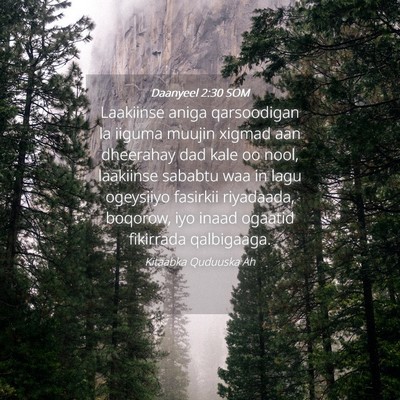 Picture 04 - Daanyeel 2:30 SOM - Laakiinse aniga qarsoodigan la iiguma muujin - Bible Verse Picture