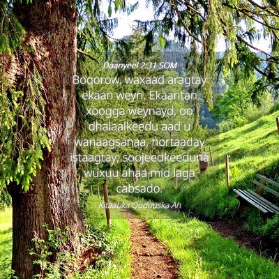 Picture 04 - Daanyeel 2:31 SOM - Boqorow, waxaad aragtay ekaan weyn. Ekaantan - Bible Verse Picture