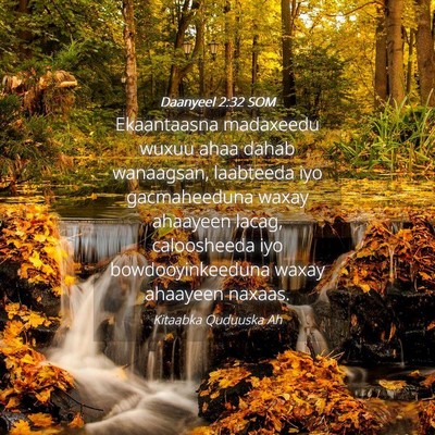 Picture 04 - Daanyeel 2:32 SOM - Ekaantaasna madaxeedu wuxuu ahaa dahab wanaagsan, - Bible Verse Picture