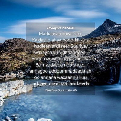 Picture 04 - Daanyeel 2:4 SOM - Markaasaa kuwii reer Kaldayiin ahaa boqorkii kula - Bible Verse Picture