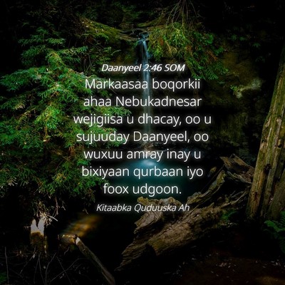 Picture 04 - Daanyeel 2:46 SOM - Markaasaa boqorkii ahaa Nebukadnesar wejigiisa u - Bible Verse Picture