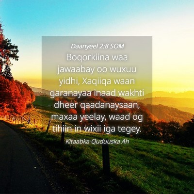 Picture 04 - Daanyeel 2:8 SOM - Boqorkiina waa jawaabay oo wuxuu yidhi, Xaqiiqa - Bible Verse Picture