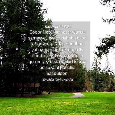 Picture 04 - Daanyeel 3:1 SOM - Boqor Nebukadnesar wuxuu sameeyey ekaan dahab ah, - Bible Verse Picture