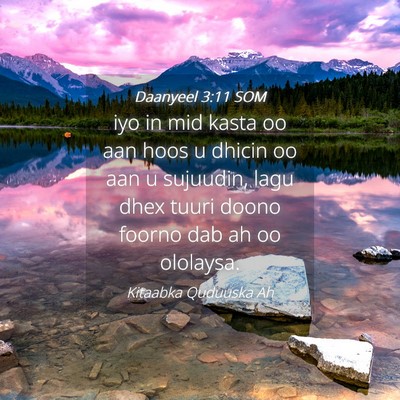 Picture 04 - Daanyeel 3:11 SOM - iyo in mid kasta oo aan hoos u dhicin oo aan u - Bible Verse Picture