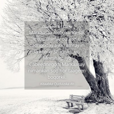 Picture 04 - Daanyeel 3:13 SOM - Markaasaa Nebukadnesar intuu dhirfay oo aad u - Bible Verse Picture