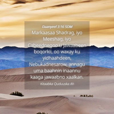 Picture 04 - Daanyeel 3:16 SOM - Markaasaa Shadrag, iyo Meeshag, iyo Cabeednegoo u - Bible Verse Picture