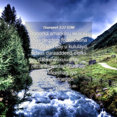 Picture 04 - Daanyeel 3:22 SOM - Boqorka amarkiisu wuxuu ahaa degdeg, foornaduna - Bible Verse Picture