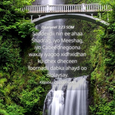Picture 04 - Daanyeel 3:23 SOM - Saddexdii nin ee ahaa Shadrag, iyo Meeshag, iyo - Bible Verse Picture