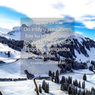 Picture 04 - Daanyeel 3:9 SOM - Oo intay u jawaabeen bay ku yidhaahdeen Boqor - Bible Verse Picture