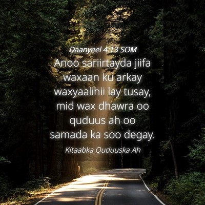 Picture 04 - Daanyeel 4:13 SOM - Anoo sariirtayda jiifa waxaan ku arkay - Bible Verse Picture