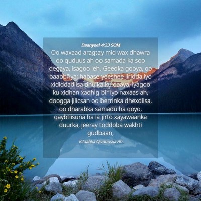Picture 04 - Daanyeel 4:23 SOM - Oo waxaad aragtay mid wax dhawra oo quduus ah oo - Bible Verse Picture