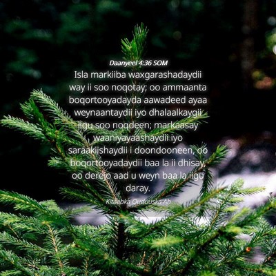 Picture 04 - Daanyeel 4:36 SOM - Isla markiiba waxgarashadaydii way ii soo - Bible Verse Picture