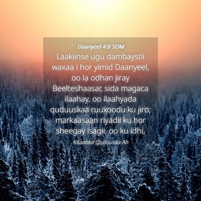 Picture 04 - Daanyeel 4:8 SOM - Laakiinse ugu dambaystii waxaa i hor yimid - Bible Verse Picture