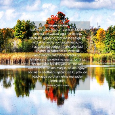 Picture 04 - Daanyeel 5:23 SOM - laakiinse waad iska sarraysiisay Sayidka samada; - Bible Verse Picture