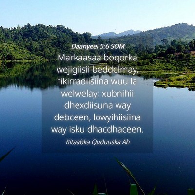 Picture 04 - Daanyeel 5:6 SOM - Markaasaa boqorka wejigiisii beddelmay, - Bible Verse Picture