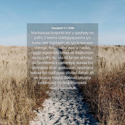 Picture 04 - Daanyeel 5:7 SOM - Markaasaa boqorkii kor u qayliyey oo yidhi, Ii - Bible Verse Picture