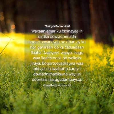 Picture 04 - Daanyeel 6:26 SOM - Waxaan amar ku bixinayaa in dadka dowladnimada - Bible Verse Picture