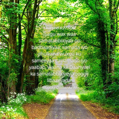 Picture 04 - Daanyeel 6:27 SOM - Isagu wax waa samatabbixiyaa oo badbaadiyaa, - Bible Verse Picture
