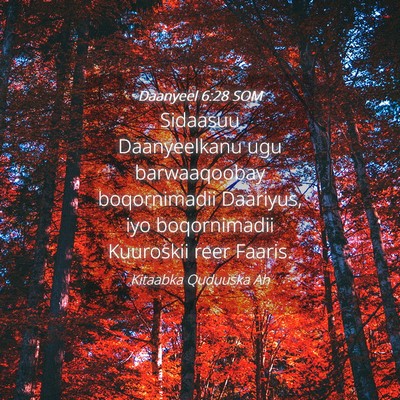 Picture 04 - Daanyeel 6:28 SOM - Sidaasuu Daanyeelkanu ugu barwaaqoobay - Bible Verse Picture