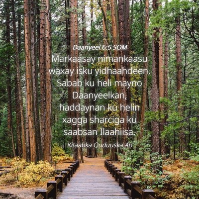 Picture 04 - Daanyeel 6:5 SOM - Markaasay nimankaasu waxay isku yidhaahdeen, - Bible Verse Picture