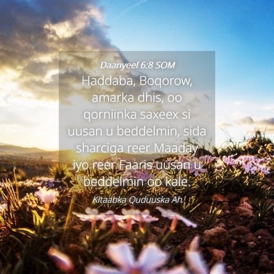 Picture 04 - Daanyeel 6:8 SOM - Haddaba, Boqorow, amarka dhis, oo qorniinka - Bible Verse Picture