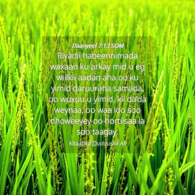 Picture 04 - Daanyeel 7:13 SOM - Riyadii habeennimada waxaan ku arkay mid u eg - Bible Verse Picture