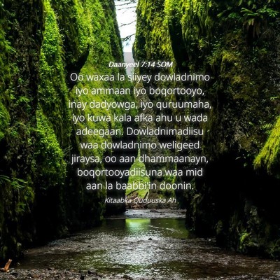 Picture 04 - Daanyeel 7:14 SOM - Oo waxaa la siiyey dowladnimo iyo ammaan iyo - Bible Verse Picture