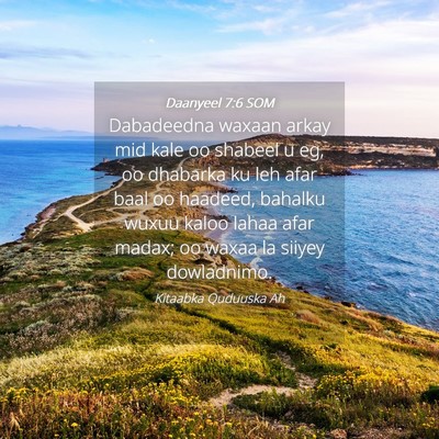 Picture 04 - Daanyeel 7:6 SOM - Dabadeedna waxaan arkay mid kale oo shabeel u eg, - Bible Verse Picture