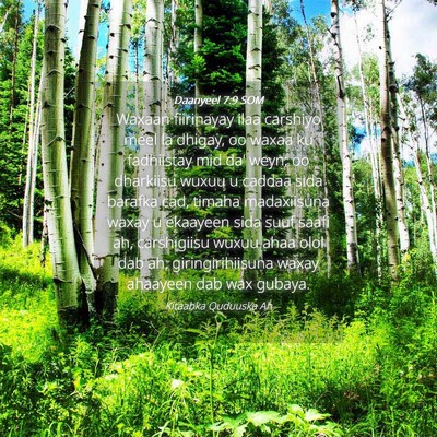 Picture 04 - Daanyeel 7:9 SOM - Waxaan fiirinayay ilaa carshiyo meel la dhigay, - Bible Verse Picture