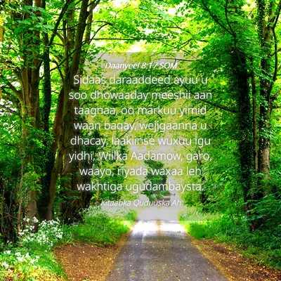 Picture 04 - Daanyeel 8:17 SOM - Sidaas daraaddeed ayuu u soo dhowaaday meeshii - Bible Verse Picture