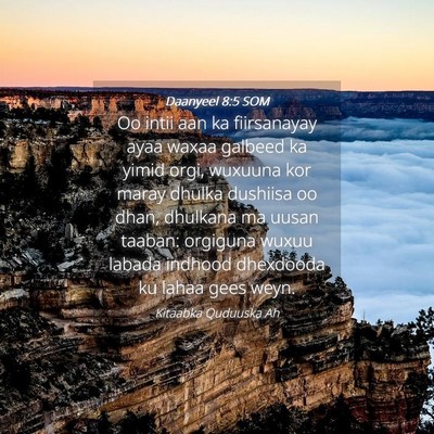 Picture 04 - Daanyeel 8:5 SOM - Oo intii aan ka fiirsanayay ayaa waxaa galbeed ka - Bible Verse Picture
