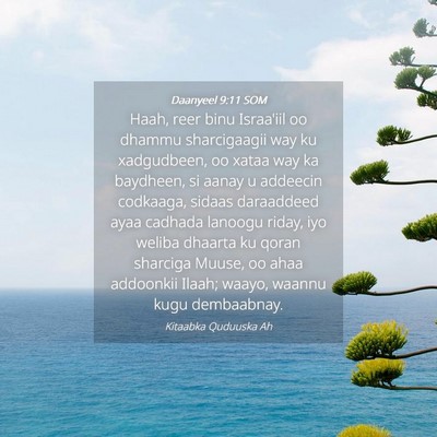 Picture 04 - Daanyeel 9:11 SOM - Haah, reer binu Israa'iil oo dhammu sharcigaagii - Bible Verse Picture