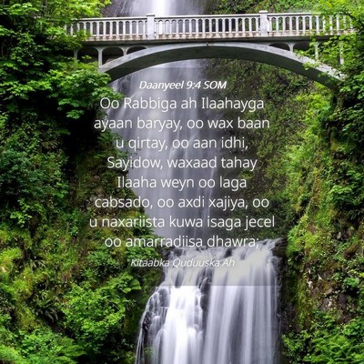 Picture 04 - Daanyeel 9:4 SOM - Oo Rabbiga ah Ilaahayga ayaan baryay, oo wax baan - Bible Verse Picture