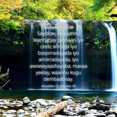 Picture 04 - Daanyeel 9:8 SOM - Sayidow, waxaannu leennahay qasnaan iyo ceeb, - Bible Verse Picture