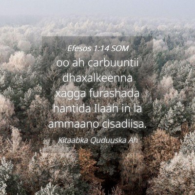 Picture 04 - Efesos 1:14 SOM - oo ah carbuuntii dhaxalkeenna xagga furashada - Bible Verse Picture