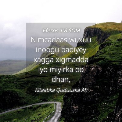 Picture 04 - Efesos 1:8 SOM - Nimcadaas wuxuu inoogu badiyey xagga xigmadda iyo - Bible Verse Picture