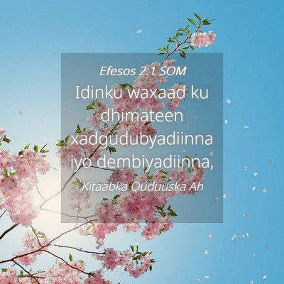Picture 04 - Efesos 2:1 SOM - Idinku waxaad ku dhimateen xadgudubyadiinna iyo - Bible Verse Picture